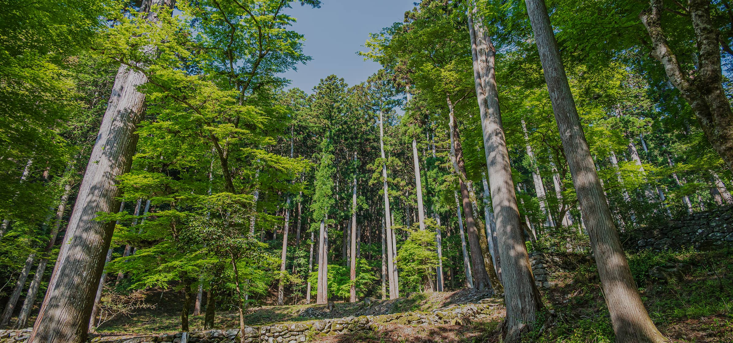 HIRAKATAを知る トップイメージ